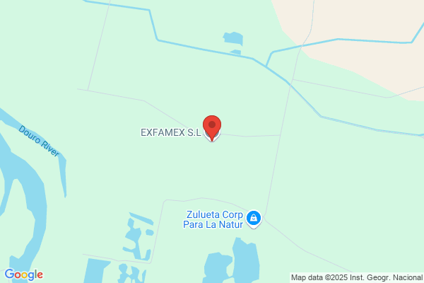 EXFAMEX S.L.