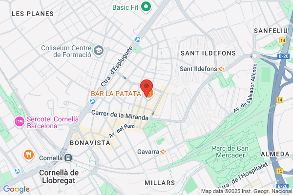 Servicios Organizados de Seguridad, SL