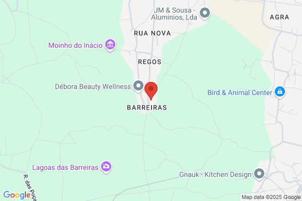 Barros Miranda j.