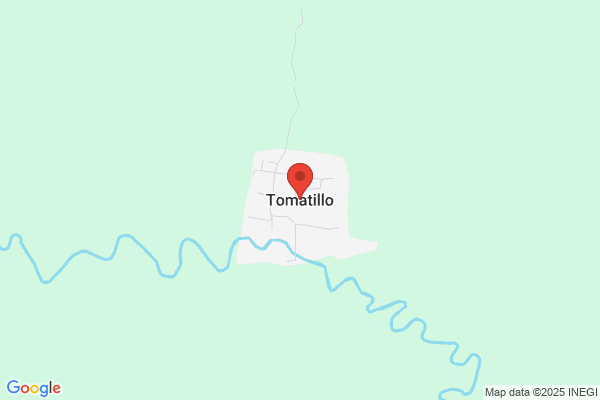 Tomillo Sanvicente r.