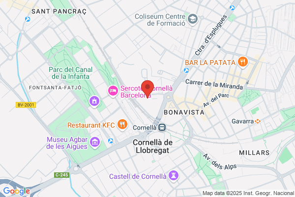 NEPTUNO GLOBAL LINK