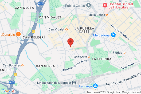 Institucion Escolar Alegre
