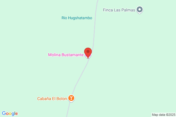Bustamante Molina c.