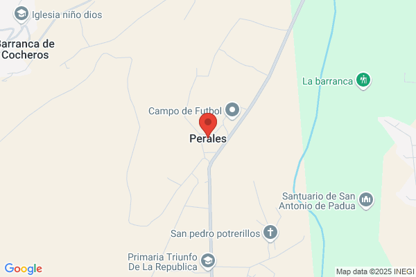 Perales Escobedo j.