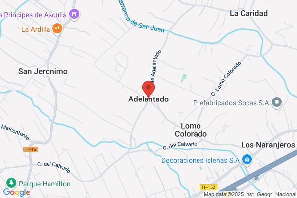 Adelantado Tomas s.
