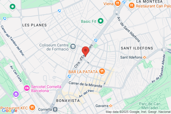 Bonafosta - Dec. En Mad. Puertas Techos y Parkets