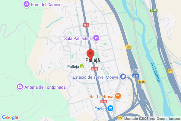 Palleja Mayor j.