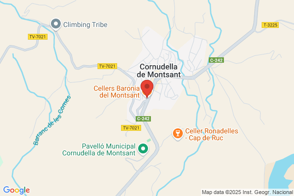 Campi-A Mangrane j. P.
