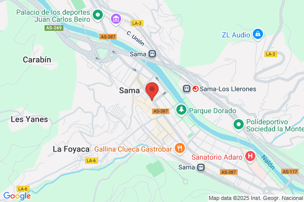 Banco De Asturias S.A.