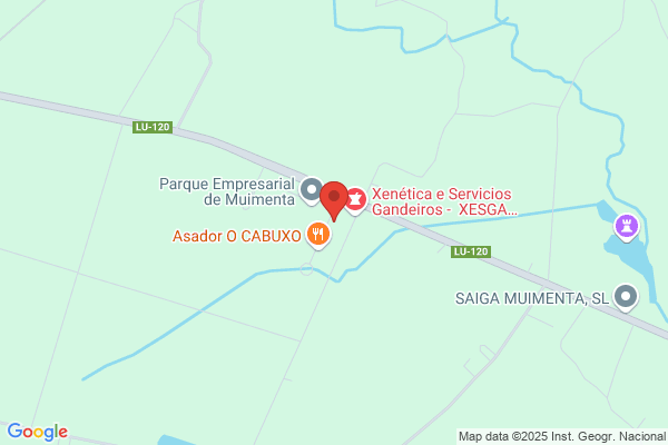 Ferreteria Carlos
