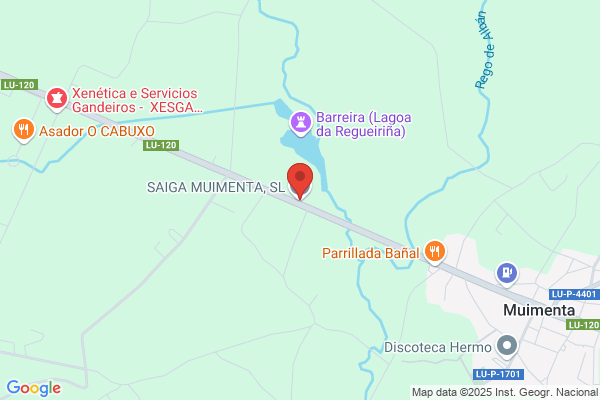 Maseda Garcia f.