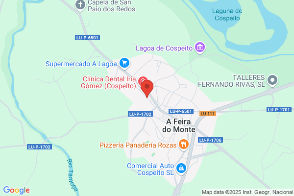 Xenetica E Servicios Gandeiros S. A.
