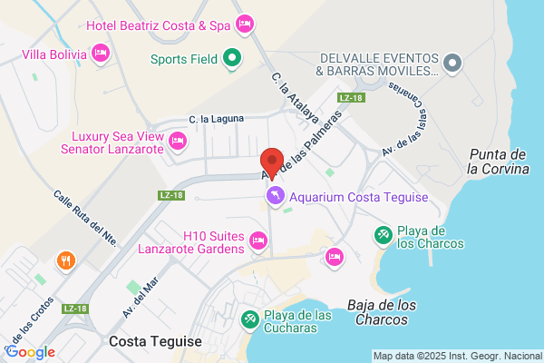 Las Acacias Pizzeria S.L.