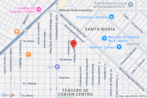 Salinas Garcia a.