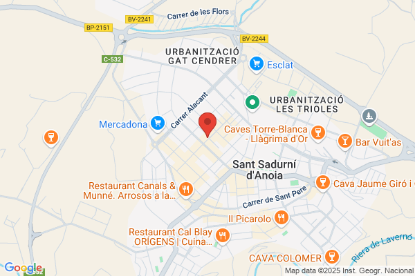 Taller Mecanico Sacot Puignau