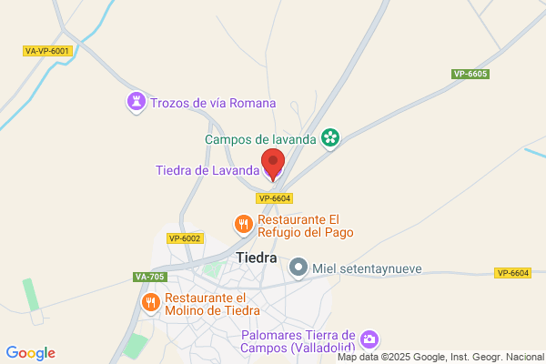 Caja España (Sucursales Provincia Tiedra)