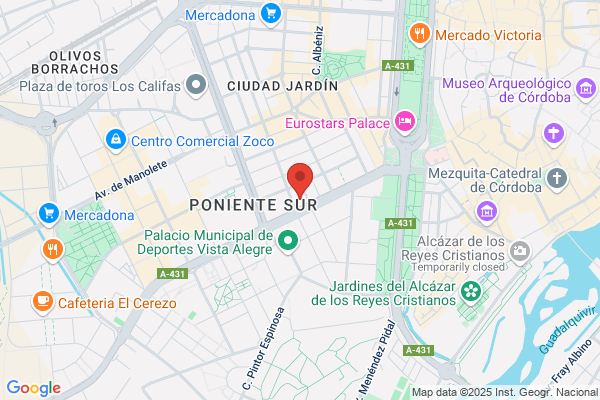 Endesa Servicio S.L. Sociedad Unipersonal