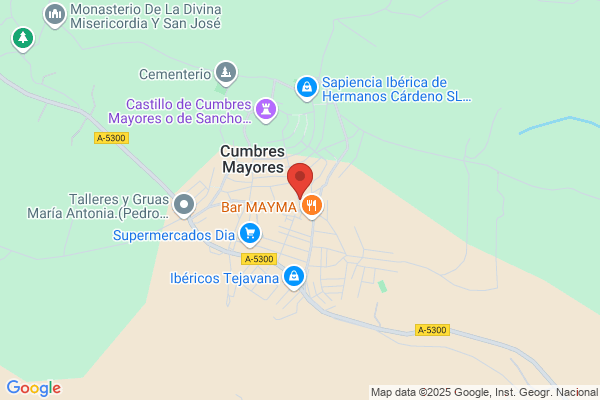 Asesoria de Empresas Maria Del Pilar Perez Soriano