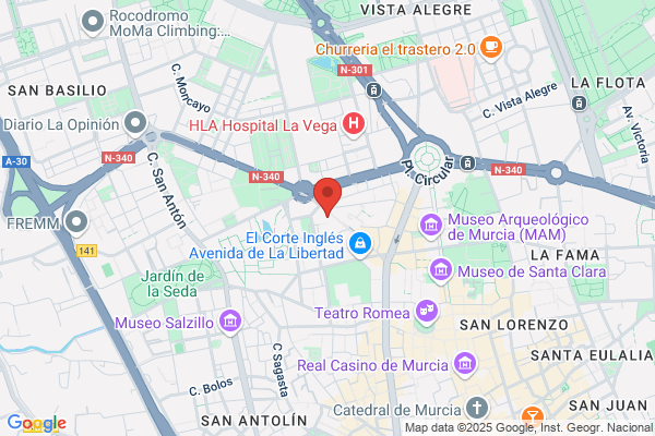 Guijarro Y Sanchez Pinilla Abogados S.C.
