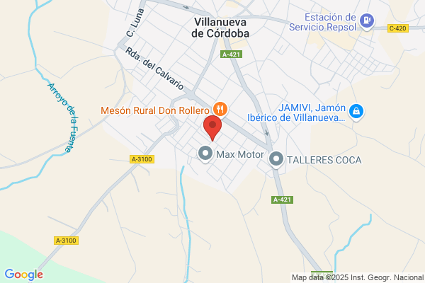 Autoservicio Carniceria Villanueva