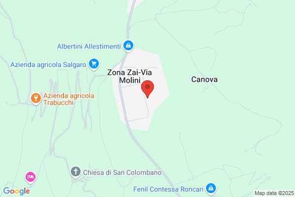 Domingo Contri v.