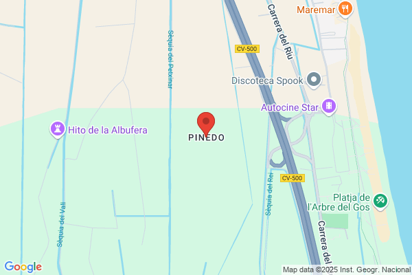 Pinedo Pinedo a.