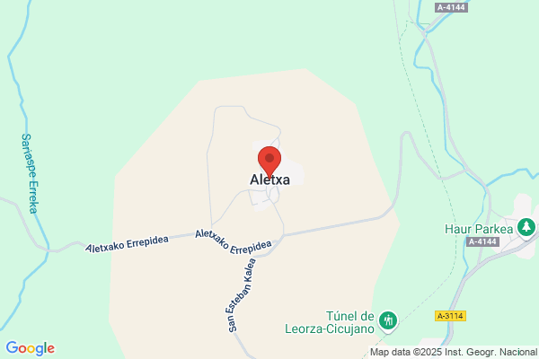 Alecha S.L.