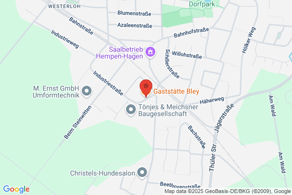 Boelies Brasserie Hosteleria S.L.