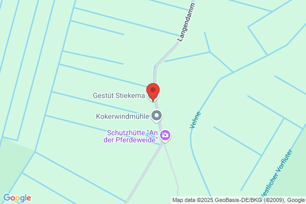 Hengst johannes