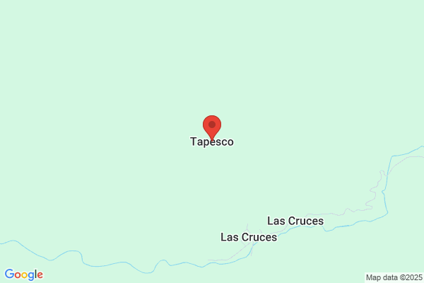 Tapesco S.L.