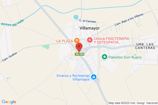 Autoescuela Villamayor S.L.