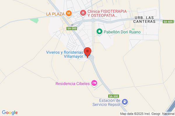 Viveros Villamayor