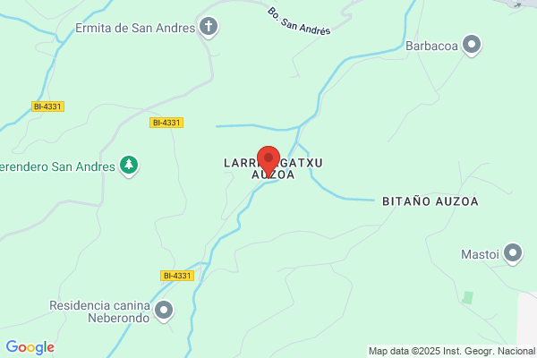Asador Txakoli Larrinagatxu