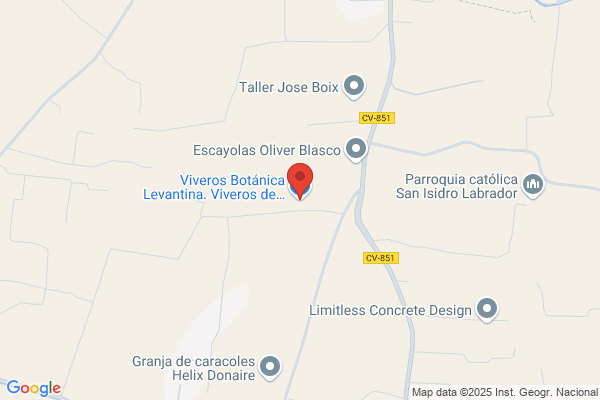 Botánica Levantina