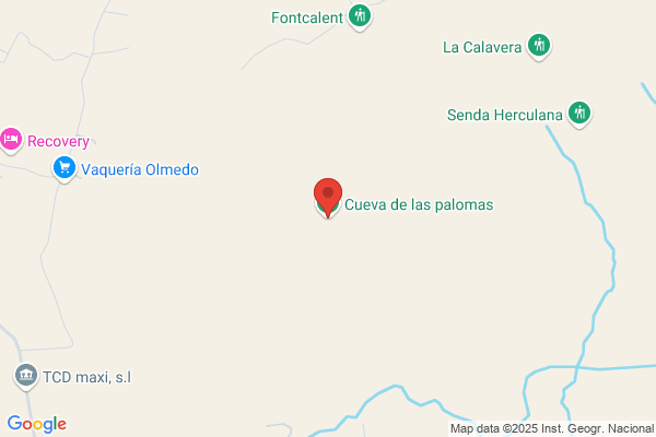 Piñol Cuevas p.