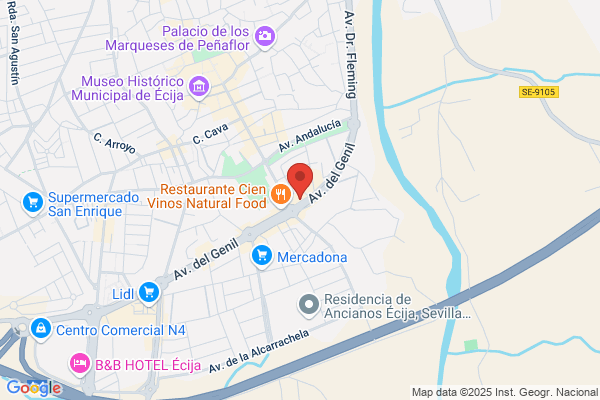 Geodesica Del Sur S.L.