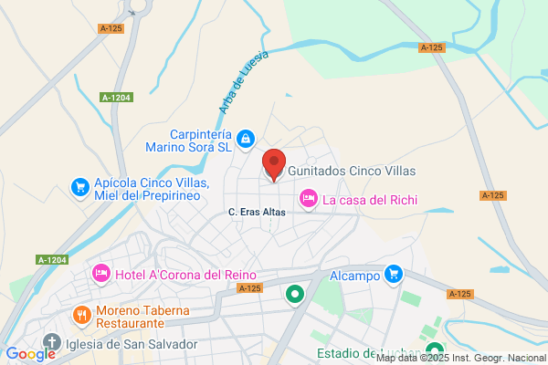Gunitados Ejea