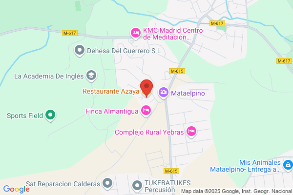 Restaurante Azaya S.L.