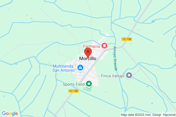 Morcillo Gallego p.