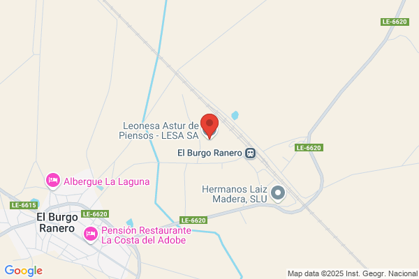 Leonesa Astur De Piensos