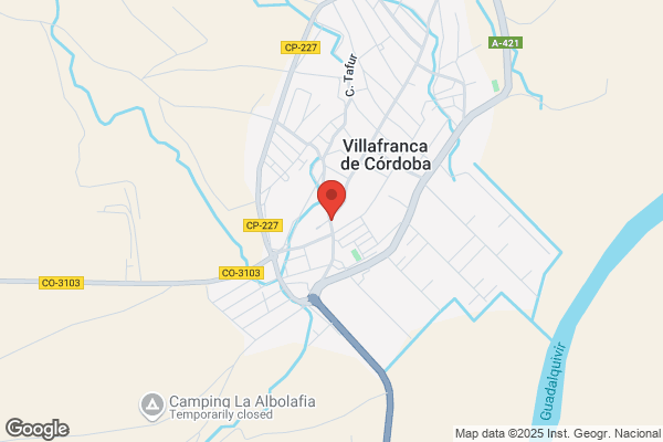 Autoservicio A. Molina