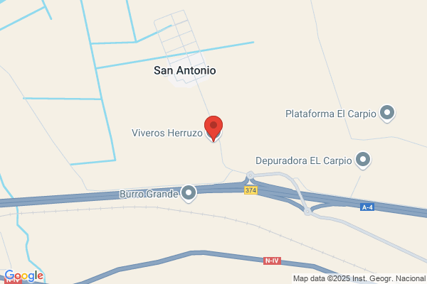 Viveros San Antonio S.L.