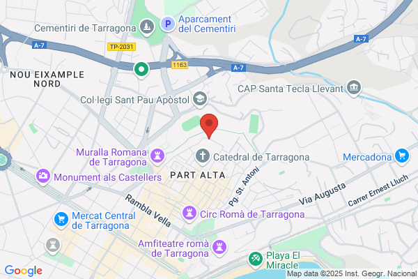 Hormigón Impreso TGN