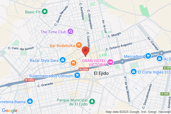 Ayuntamiento De El Ejido