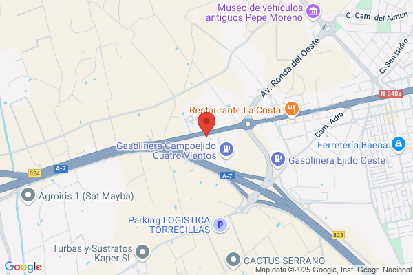Acien Palmero s.