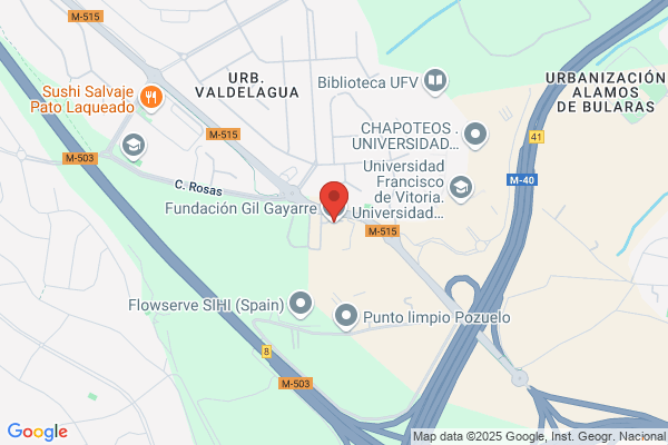 Fundacion Gil Gayarre