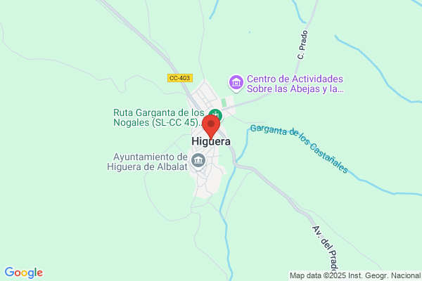 Higuera Nuñez a.