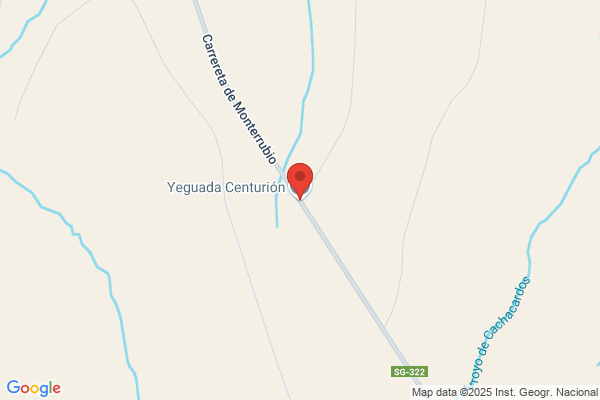 Yeguada Centurion S.L.