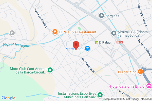 Academia Viñes S.L.