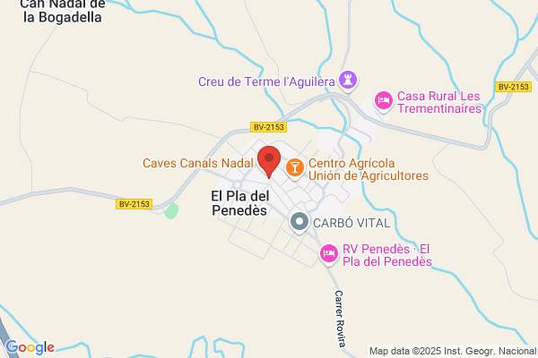 Ajuntament Pla Del Penedes